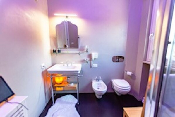Shower, hair dryer, bidet, towels