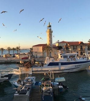 Marina