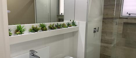 Combined shower/bathtub, bidet