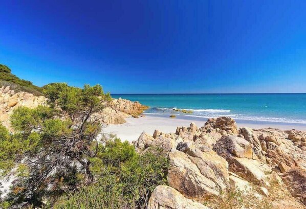 Playa en los alrededores 
