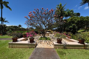 Stroll through the serene garden, surrounded by lush potted plants and vibrant flowering shrubs, along a meandering stone pathway.