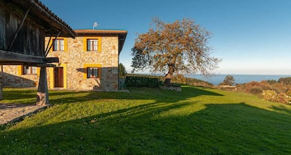 appt. Tourist Tapia 1