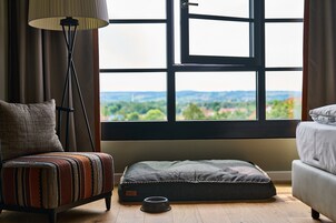 Vista desde la habitación
