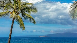 A beach with a palm tree and ocean view. - Enjoy Your Oceanside Dream at Kihei Surfside (Kihei)