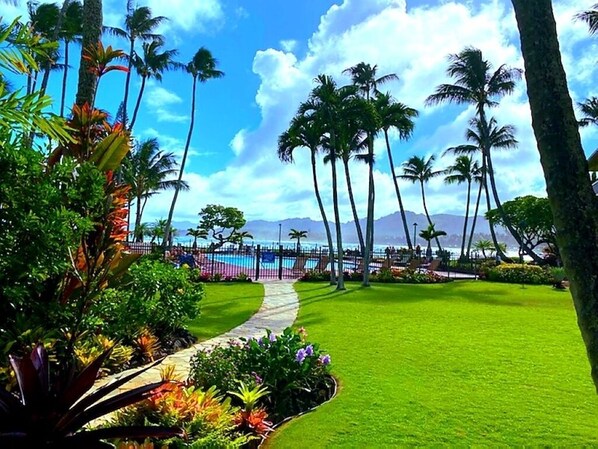 Property grounds - Private Oceanfront Penthouse Lae Nani 231, New split A/C, Parking, AMAZING VIEW! (Kapaʻa)