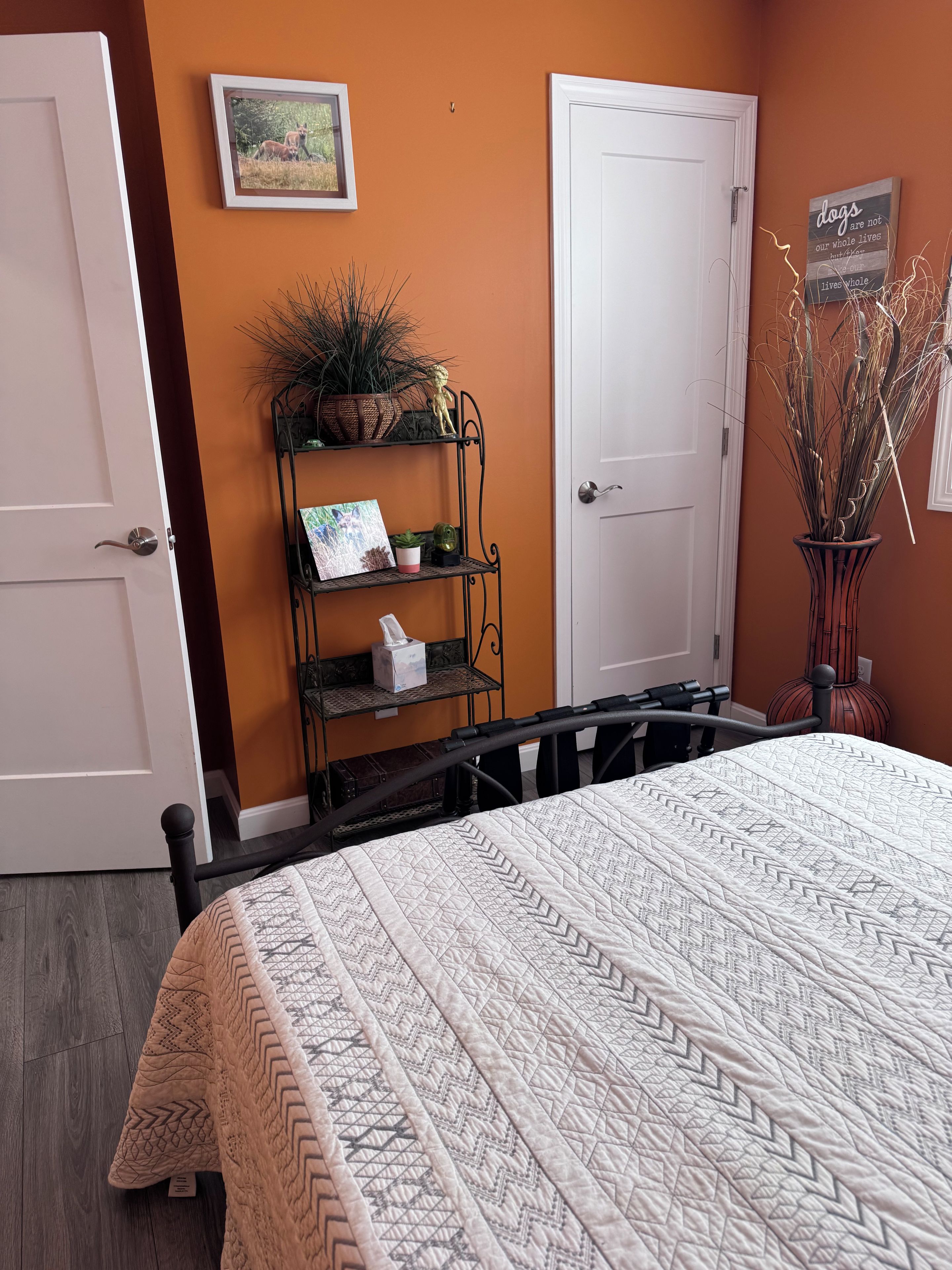 A bedroom with a bed, a shelf with plants, a door, and a wall with a framed picture.
