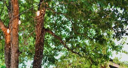 Waterfront Cabin at Son’s Geronimo – 25-acre nature resort on creek! - SG19