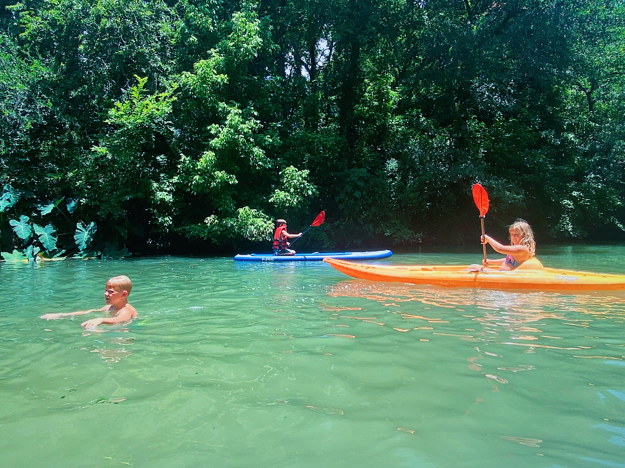 Three kayaks on a calm river surrounded by dense greenery.