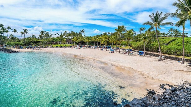 A beach with clear turquoise water, a sandy shore, and palm trees. - 🏖️Updated Ground Floor Mauna Lani Condo on the Golf Course (Kamuela)