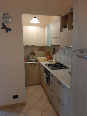 Fridge, oven, stovetop, electric kettle - TWO-ROOM APARTMENT WITH PARK VIEW (Torino)