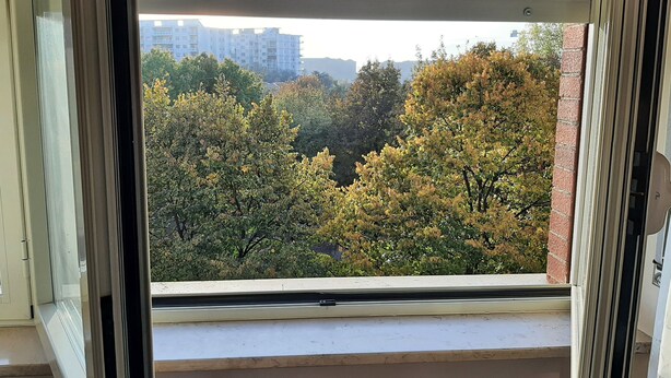 Una ventana con vistas a árboles y un edificio lejano.