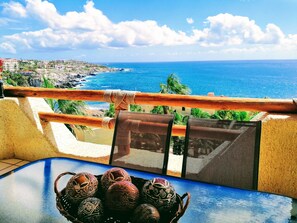 Property grounds - Penthouse Birds Eye Wrap-Around Ocean Views 2 Bdm Sleeps 5 Enhanced Cleaning (Cabo San Lucas)