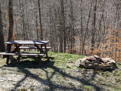 Cabin surrounded by Wayne National Forest and the Baileys Trail System