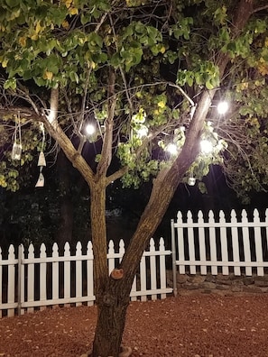 Surrounded by a charming picket fence, a majestic tree stands tall.
