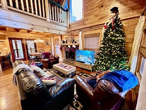 Smart TV, fireplace, video games, DVD player