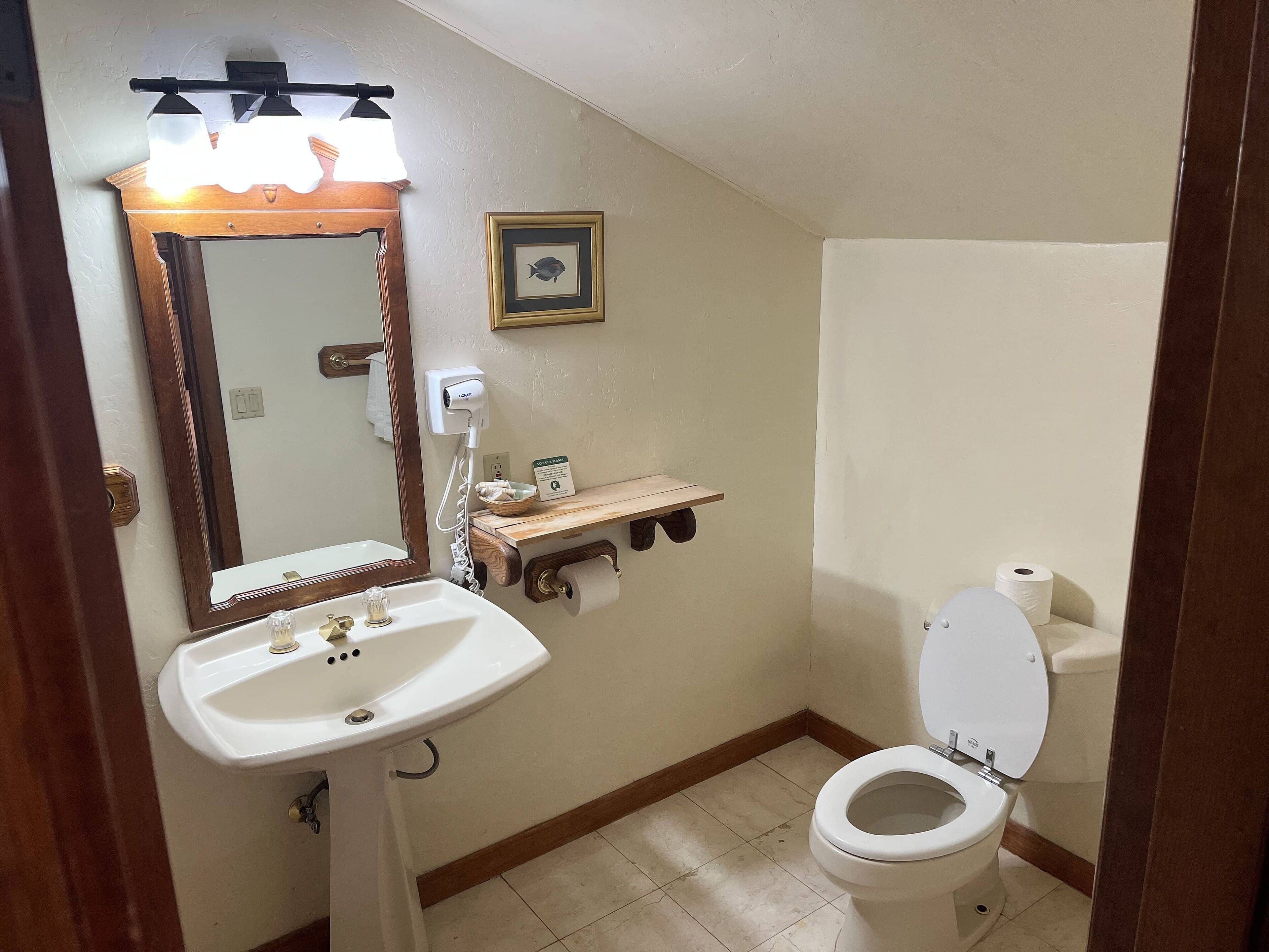 A bathroom with a white sink, a mirror, a framed fish picture, a hairdryer, and a toilet.