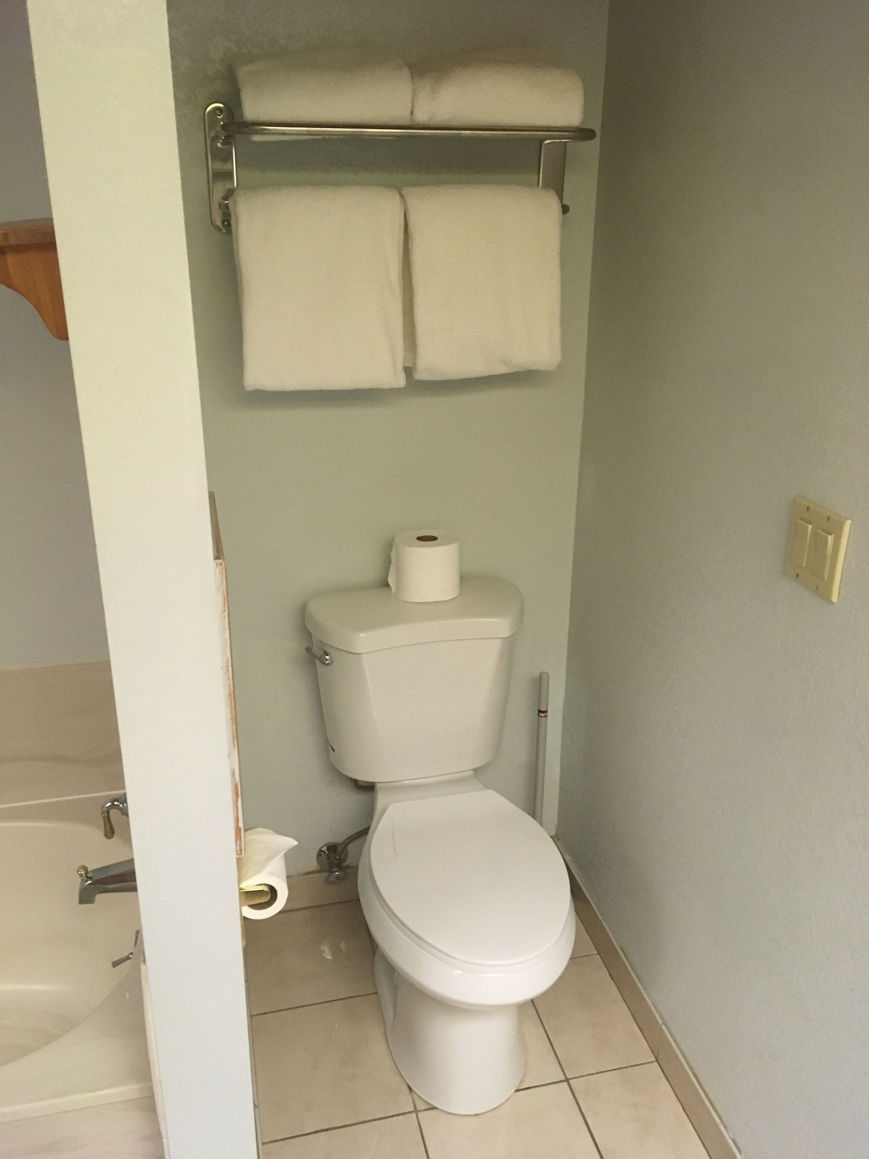 Een badkamer met een toilet, een rol toiletpapier en een handdoekhouder met twee handdoeken.