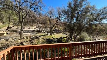 Mountain View King | Terrace/patio