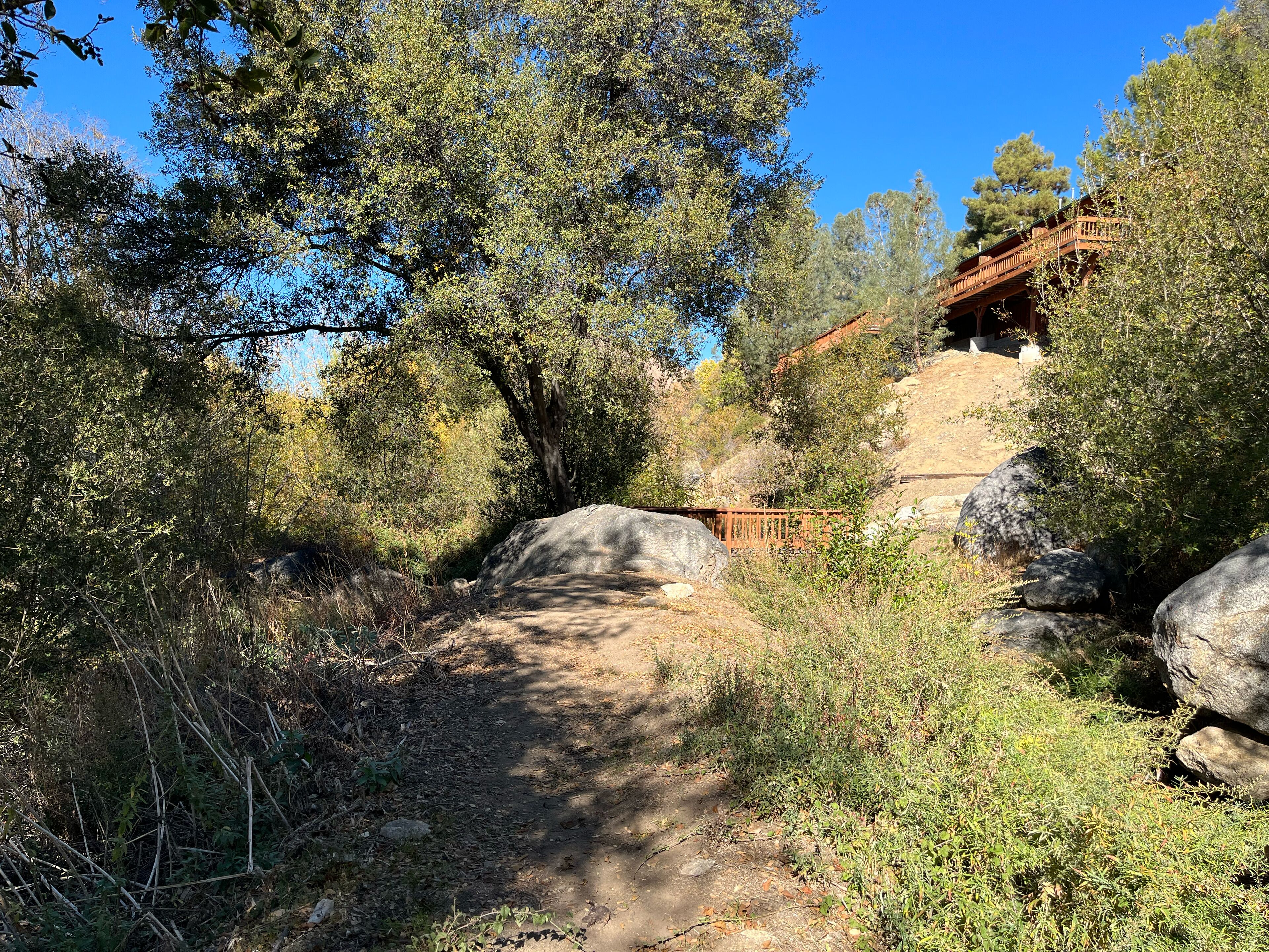 A hiking trail surrounded by dense vegetation and large rocks.