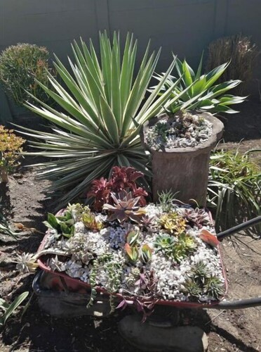 SERENITY 2: 4 bedroom, 2 bathroom family home