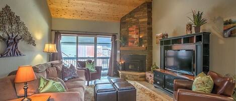 TV, fireplace, DVD player, books