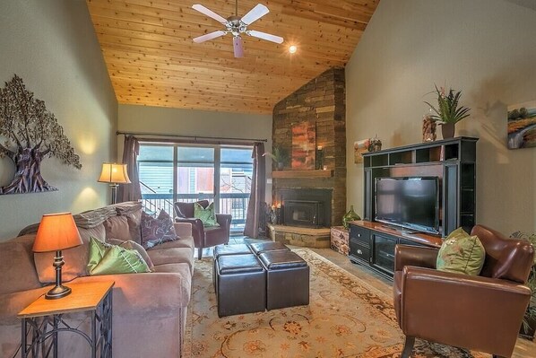 TV, fireplace, DVD player, books