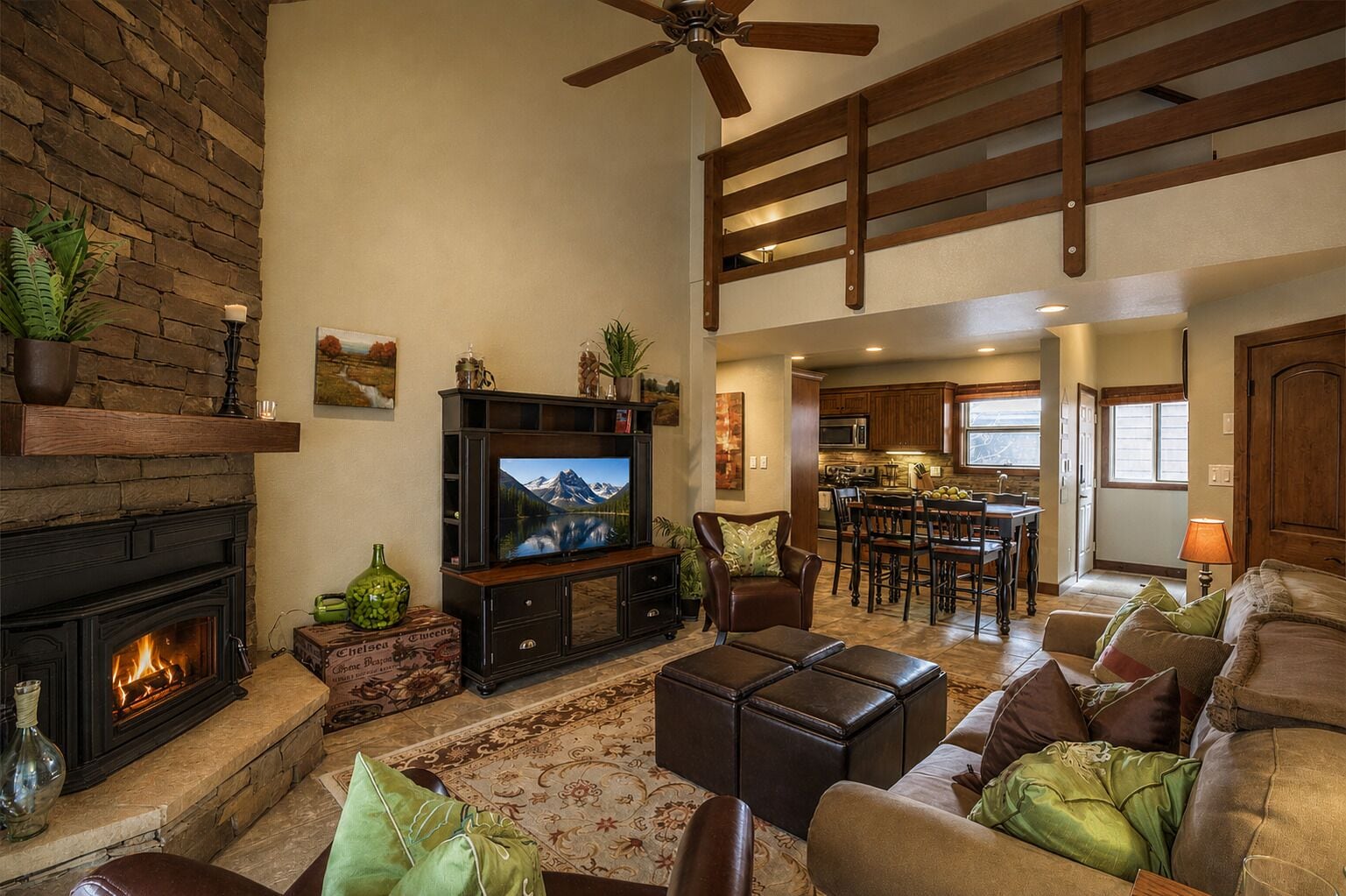 TV, fireplace, DVD player, books