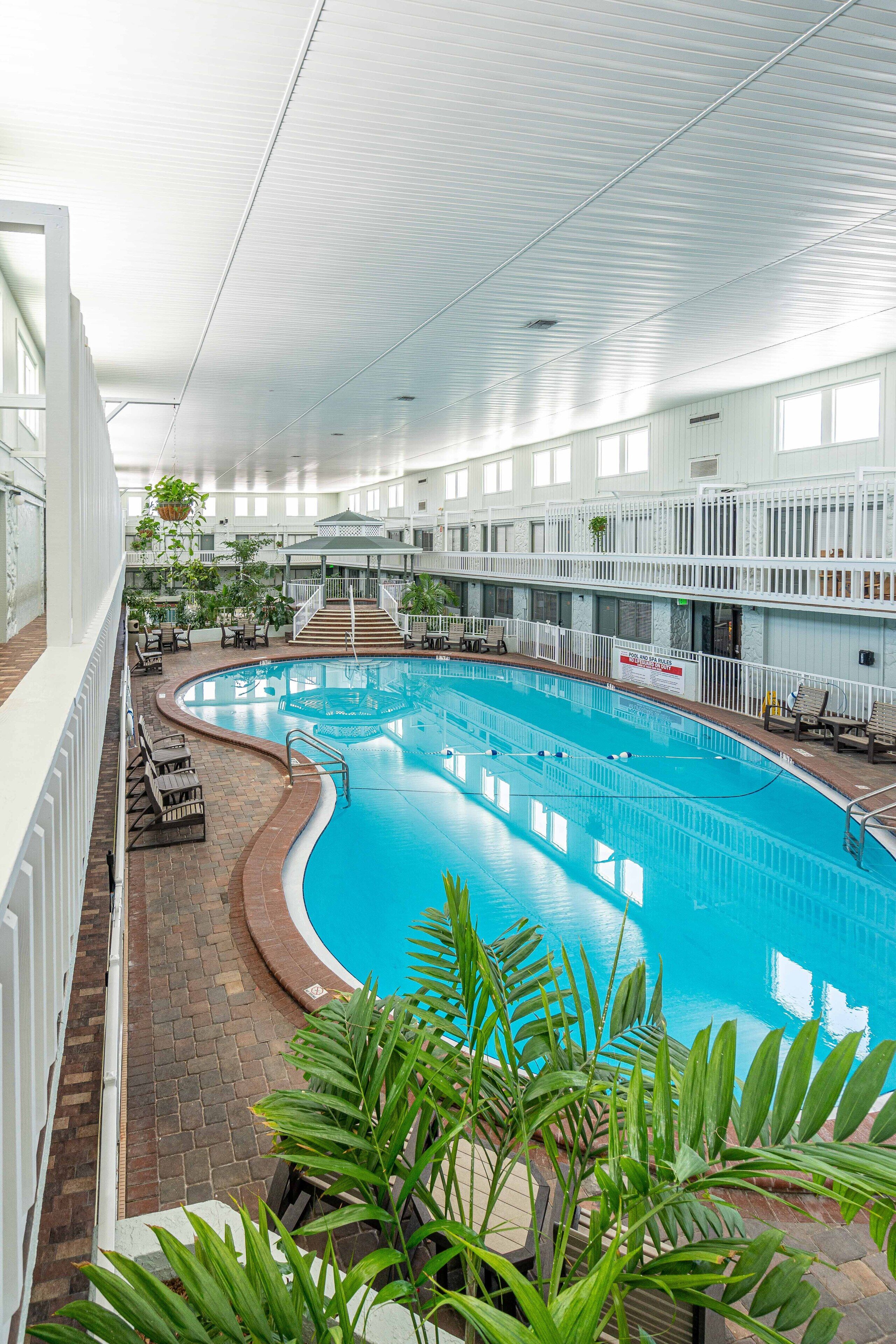 Ein haubtropfendes Hallenbad mit geschwungenem Design, umgeben von Liegestühlen und Topfpflanzen.