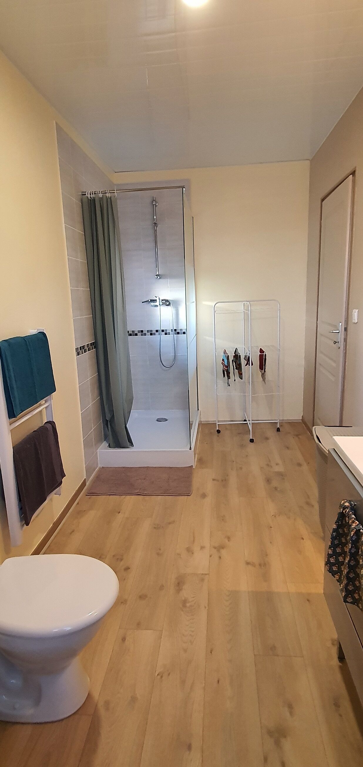 Une salle de bain moderne équipée d’une douche, de toilettes et d’un étendoir.