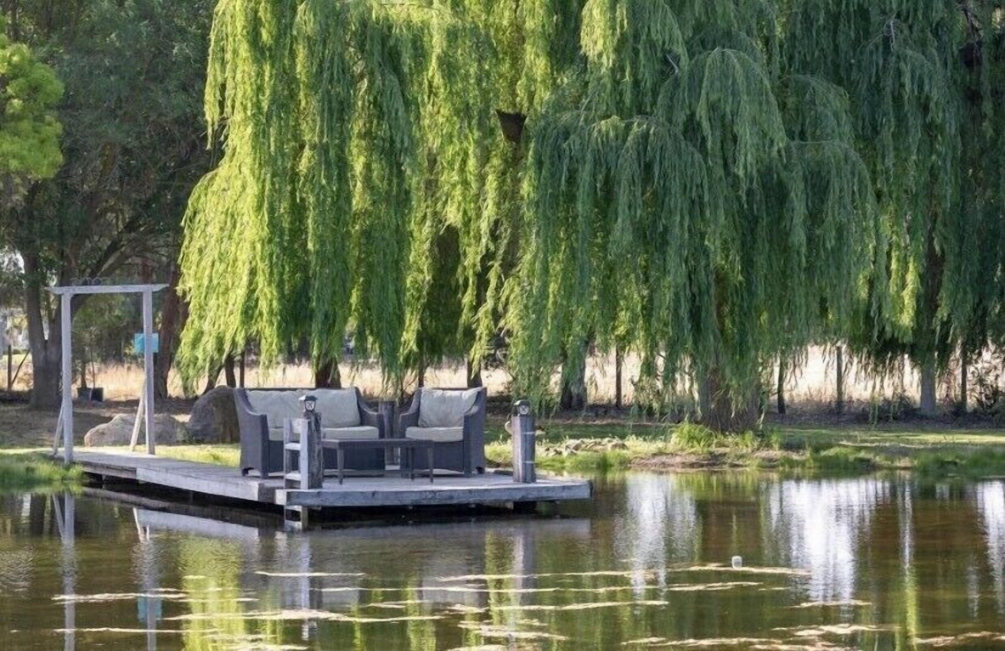 Terrain de l’hébergement 