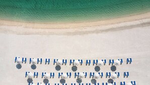 An aerial view of a beach with rows of white umbrellas and blue lounge chairs arranged in a grid pattern. - Radisson Resort Ras Al Khaimah Marjan Island (Ras Al Khaimah)