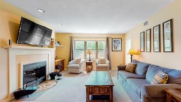 TV, fireplace, DVD player