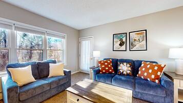 Télévision, cheminée, lecteur de DVD