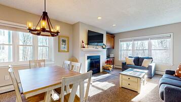 Télévision, cheminée, lecteur de DVD