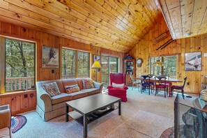 Télévision, cheminée, lecteur de DVD