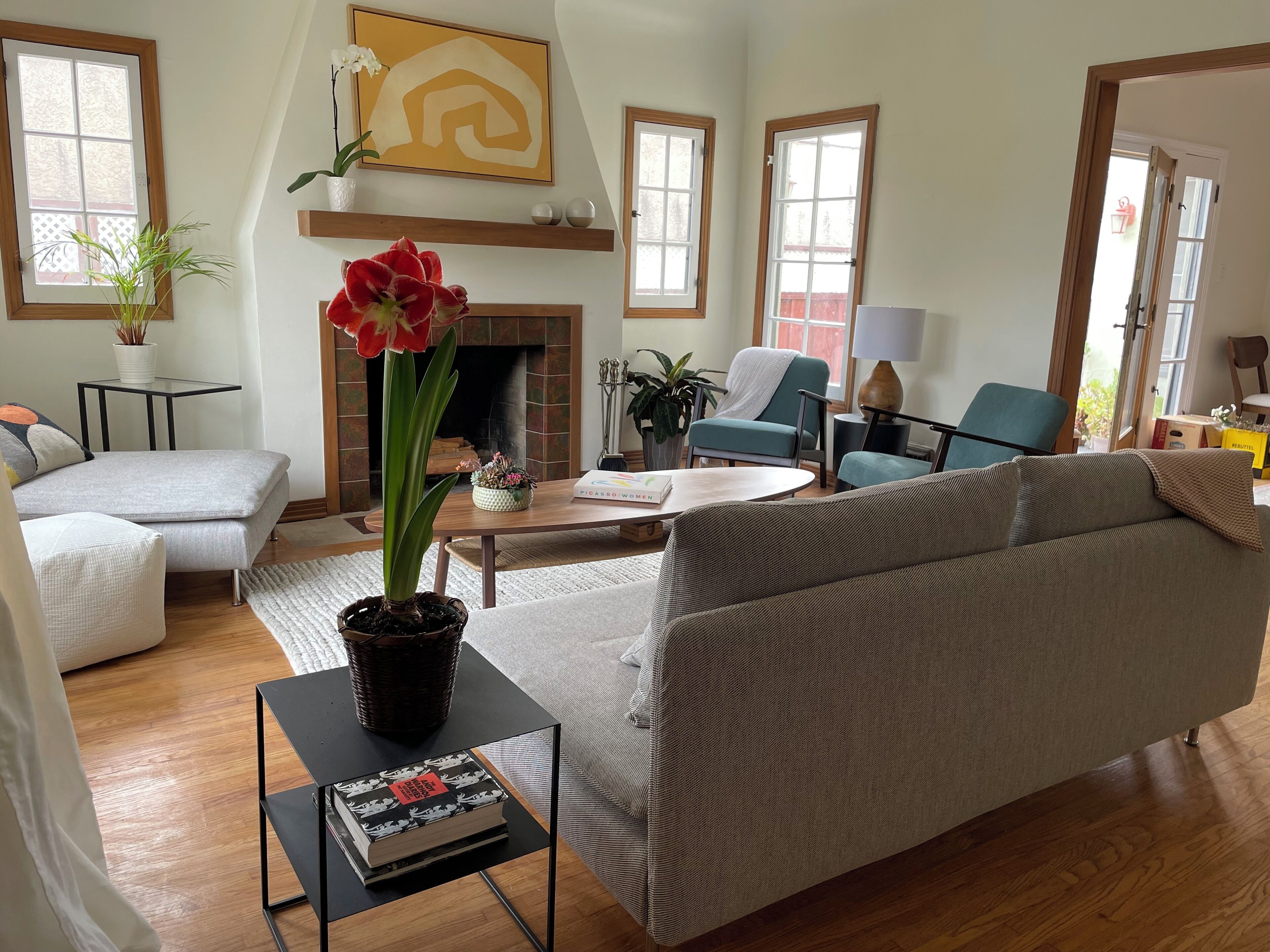 TV, fireplace, video games, DVD player