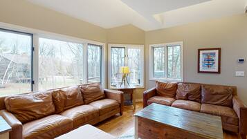 Télévision, cheminée, lecteur de DVD, table de tennis de table