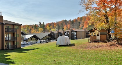 Ski-In/Out condo with patio, mountain views, washer/dryer, & cable