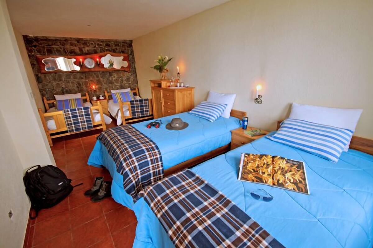 A bedroom with two beds, a dresser, and a stone wall.