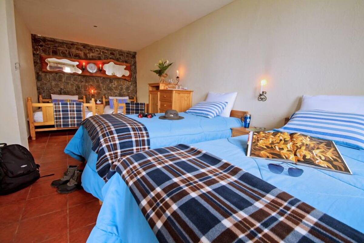 A bedroom with two beds, a stone wall, a wooden dresser, and a wall-mounted light fixture.