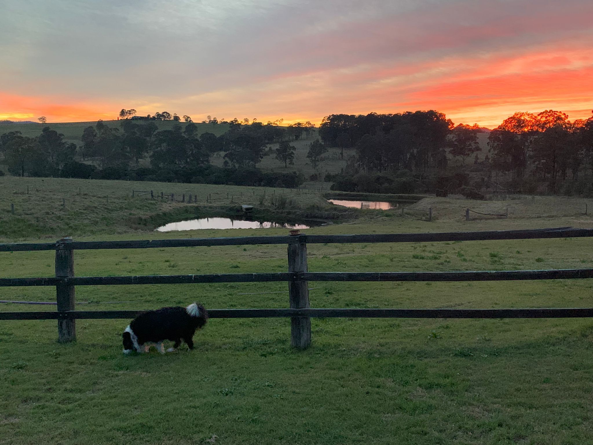 36 Acre Hideaway Hunter Valley Cottage — image 22