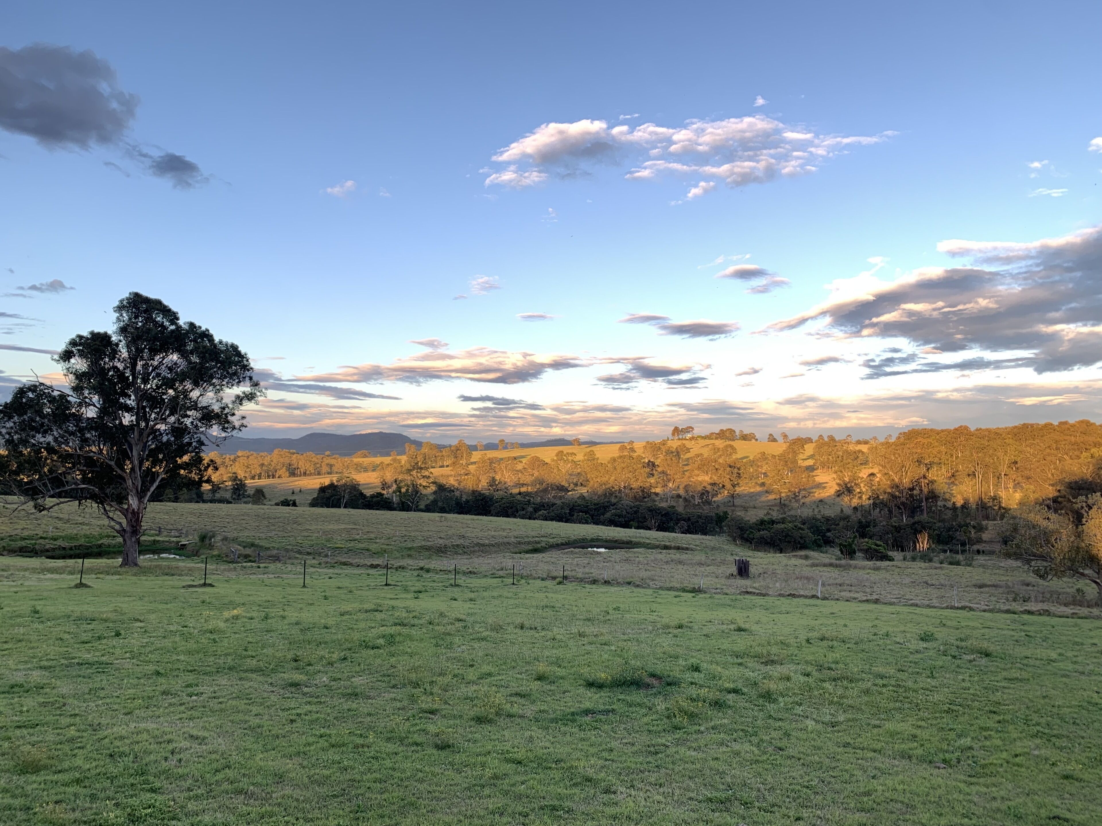 36 Acre Hideaway Hunter Valley Cottage — image 21