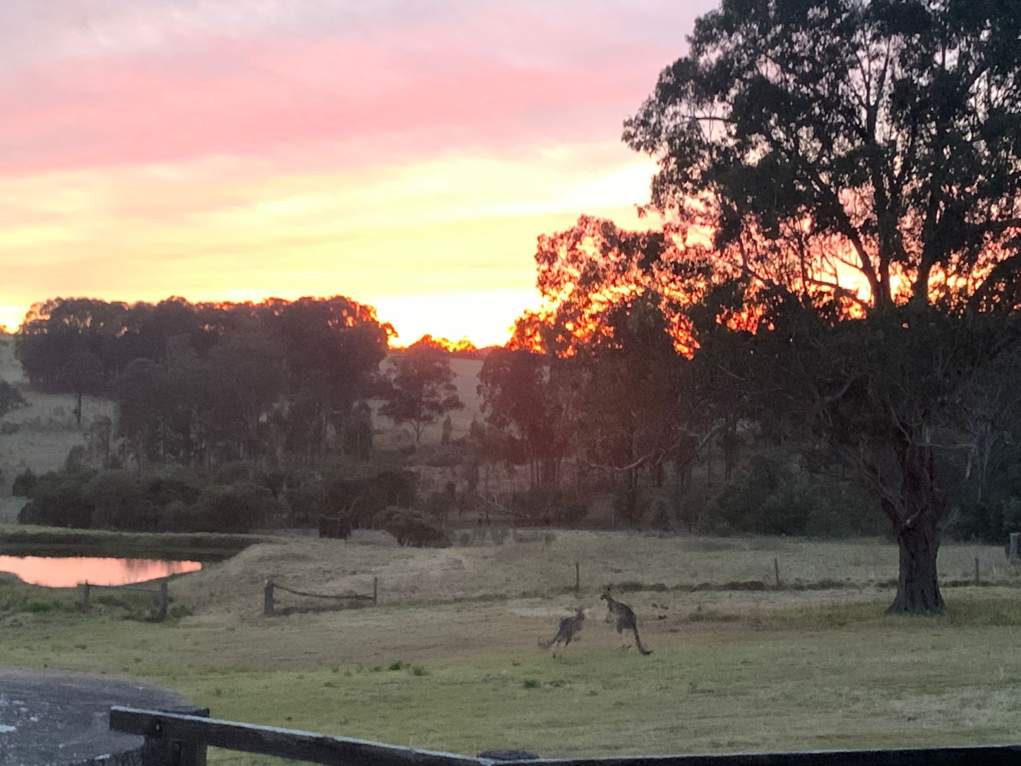 36 Acre Hideaway Hunter Valley Cottage — image 4