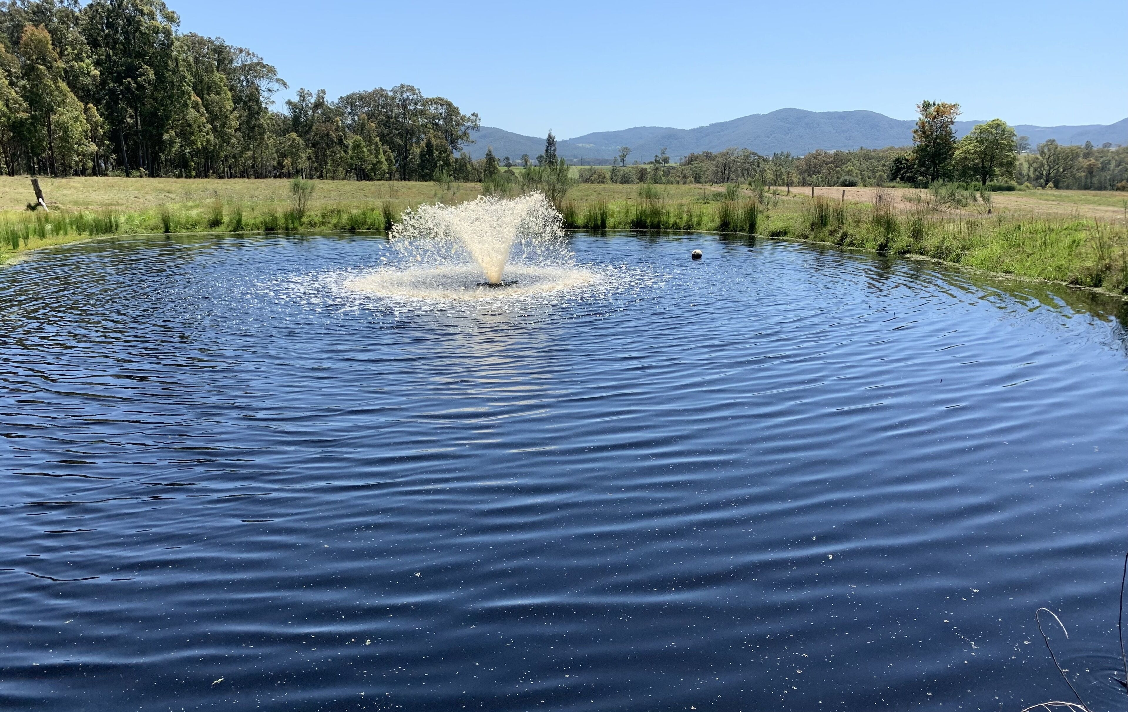 36 Acre Hideaway Hunter Valley Cottage — image 20