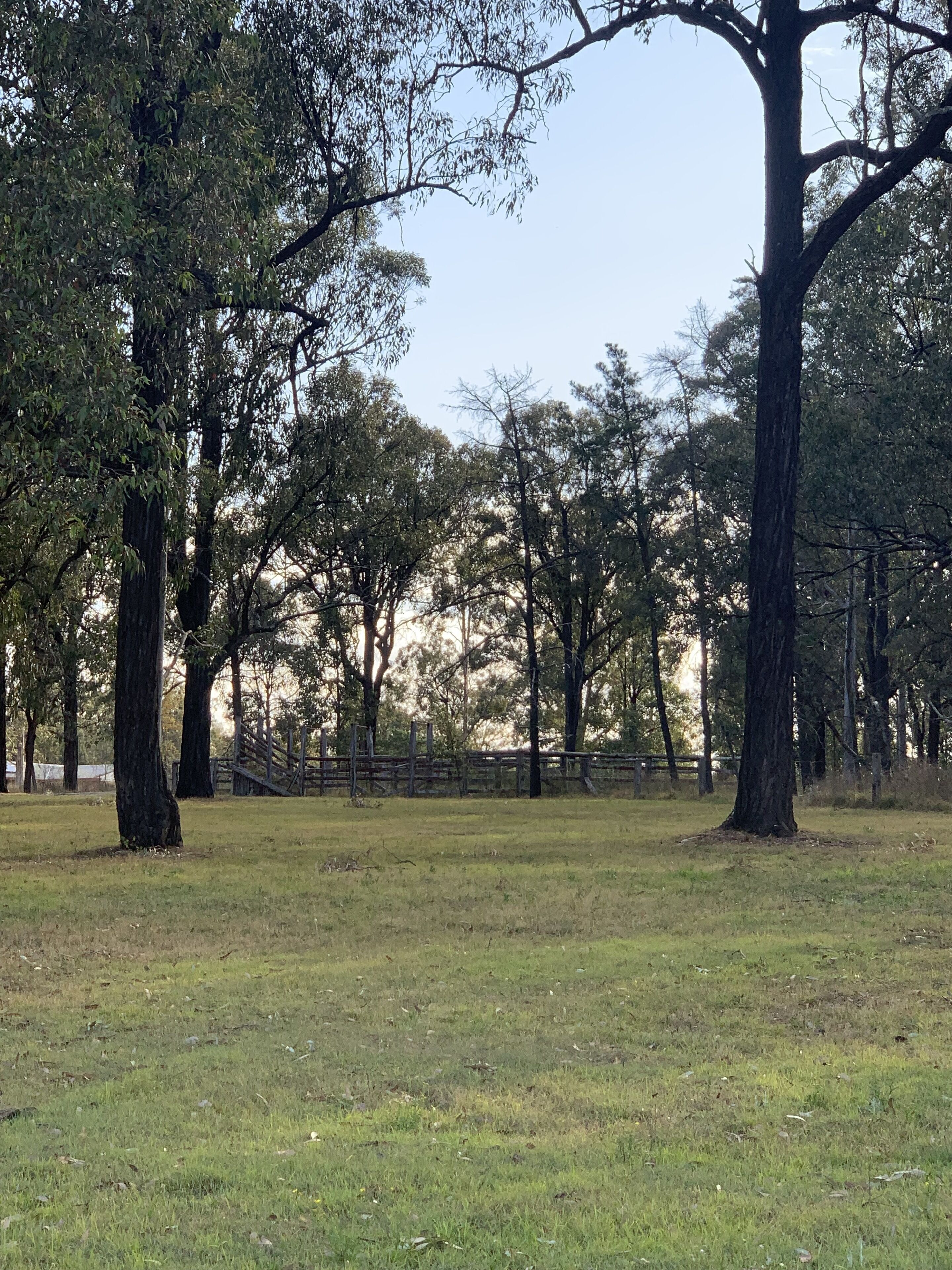 36 Acre Hideaway Hunter Valley Cottage — image 19