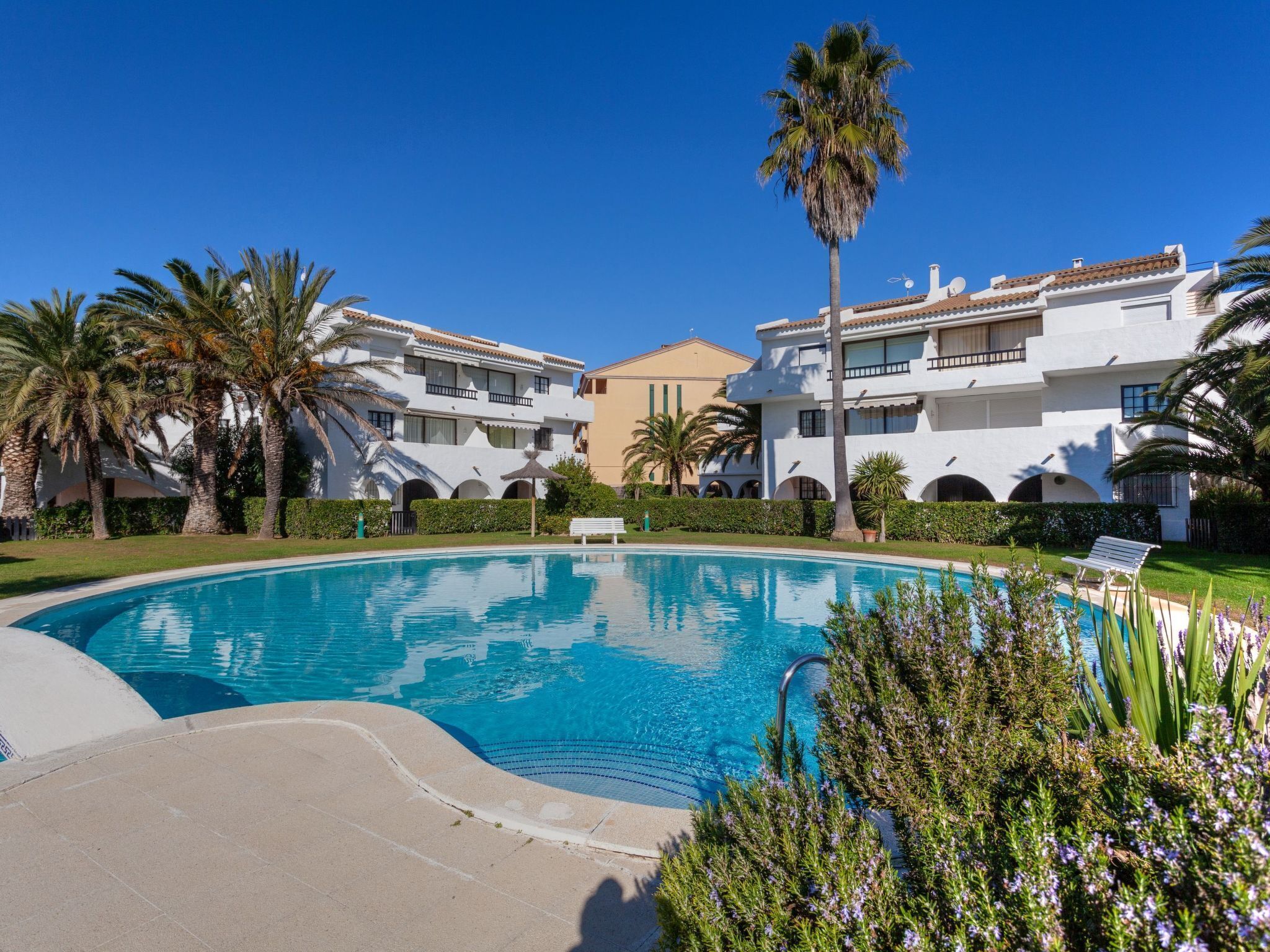 A swimming pool surrounded by palm trees and a building with balconies.