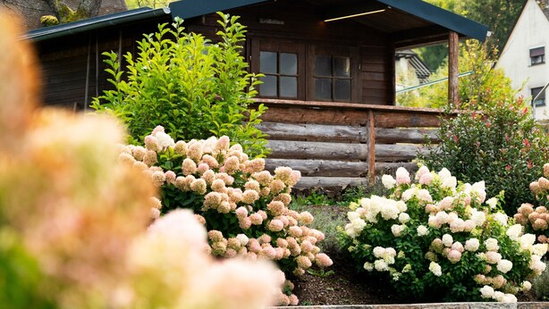 A log cabin with a stone retaining wall, surrounded by lush greenery and flowering plants. - Holiday Home 'Traumzeit' with Private Terrace, Private Garden and Wi-Fi (Neuhütten)