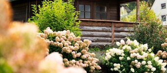 Maison de vacances 'Traumzeit' avec terrasse privée, jardin privé et Wi-Fi