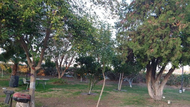 Unclassified image, 1 of 27, button - EL Amigo Motel (Turlock)