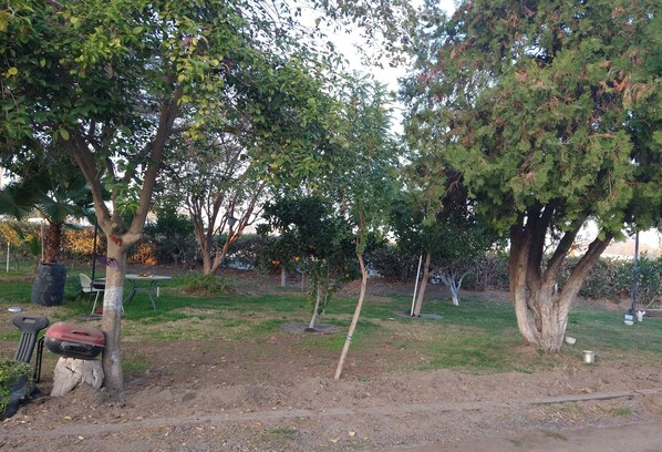 Habitación | Zona de estar | Televisión de 32 pulgadas con canales por cable